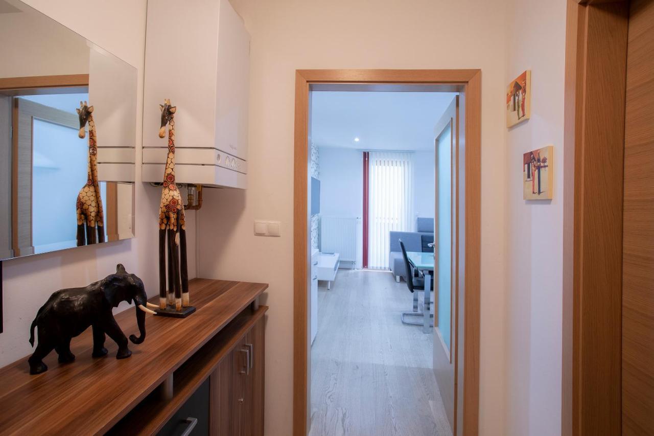 Apartment Arnika 克拉尼斯卡戈拉 外观 照片